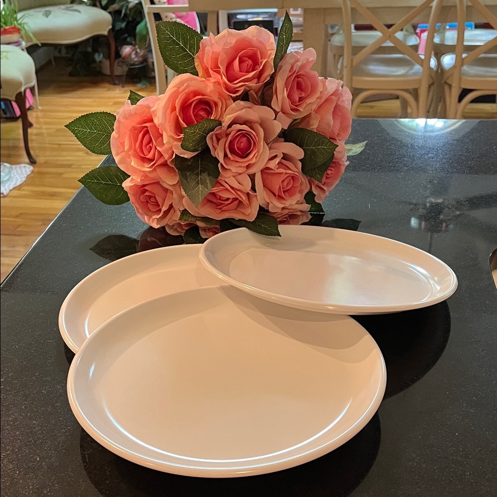 (3) Rubbermaid White Vintage Melamine Plastic Plates